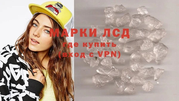 прущие грибы Алексин