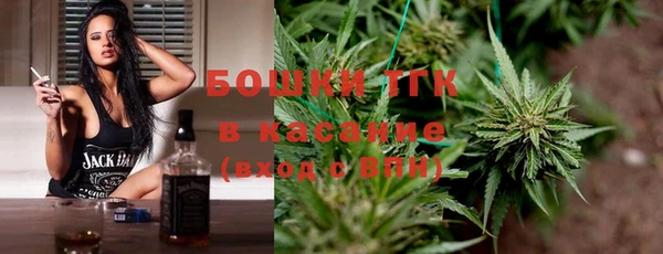 прущие грибы Алексин