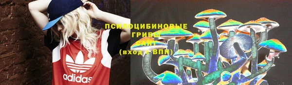 стафф Аркадак