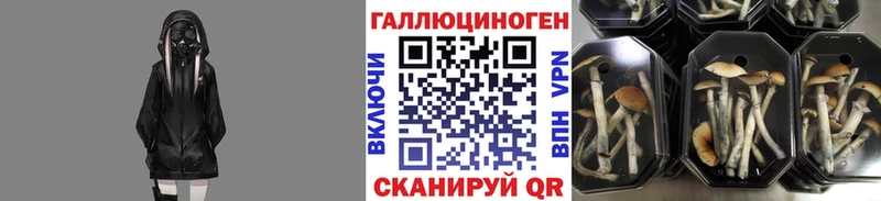 Галлюциногенные грибы мухоморы Ливны