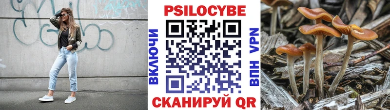 Купить где  Ливны  Галлюциногенные грибы ЛСД 